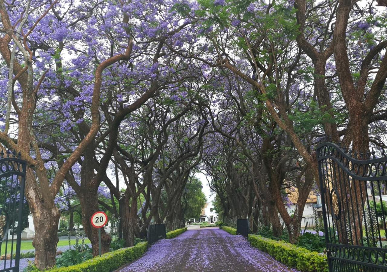 Kievits Kroon Gauteng Wine Estate Pretoria Bagian luar foto